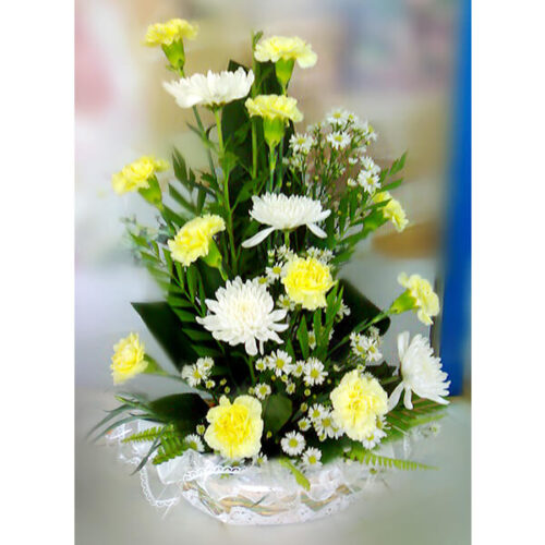 eleglance of mums carnation