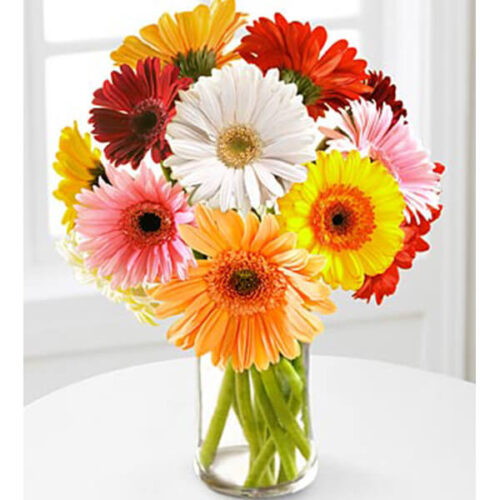 gerbera in a crystal vase