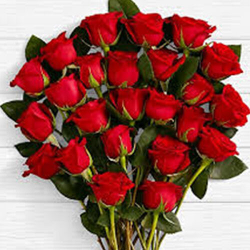 parallax of lovely red roses