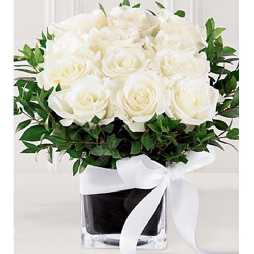 a classy box of pure white roses
