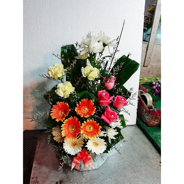 ab flower ab c58 ab flower ab c58