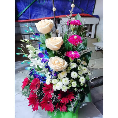 congratulation with emotion